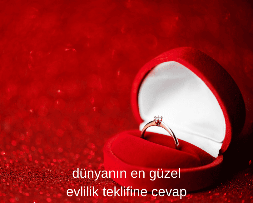 Dünyanın En Güzel Evlilik Teklifine Cevap